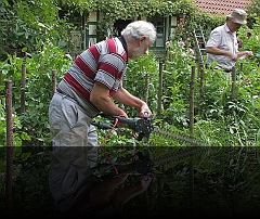 Boerentuin onderhoud 2